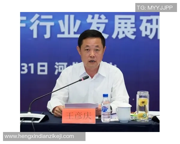 阳城足球厂创新发展之路探讨与未来展望助力地方经济腾飞 阳城足球厂创新发展之路探讨与未来展望助力地方经济腾飞